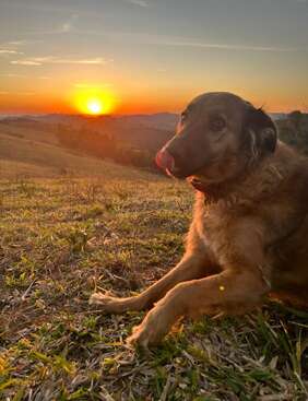 Profile photo of Roxie