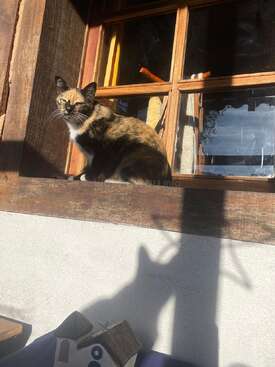 Profile photo of Lua