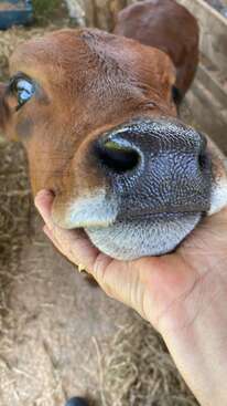 Profile photo of Heidi and Sol