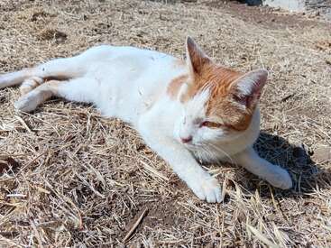 Profile photo of Charly