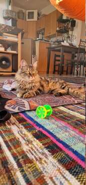 Profile photo of Reina