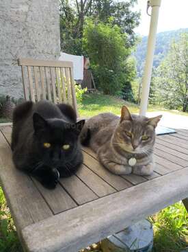 Profile photo of Punky & Mitxi