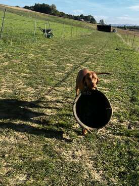 Profile photo of Wilma