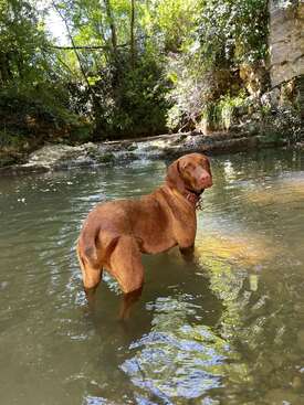 Profile photo of Ruby