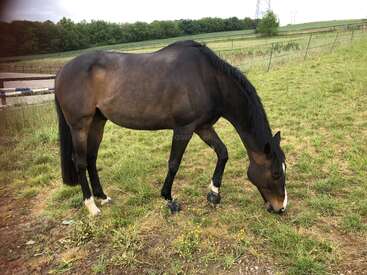 Profile photo of Tiago