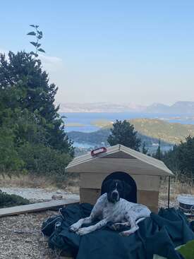 Profile photo of Spots