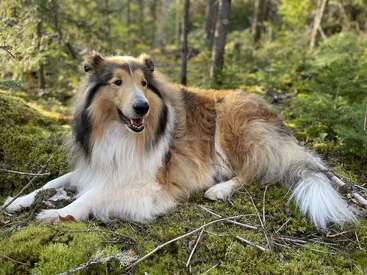 Profile photo of Griffin