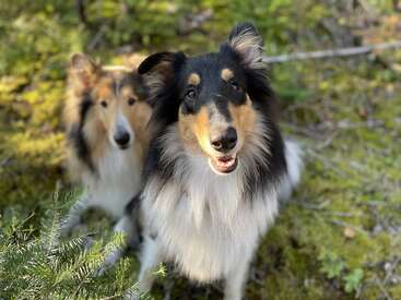 Profile photo of Tally