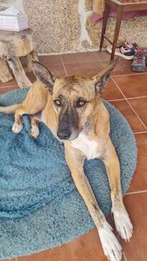 Profile photo of Meiga