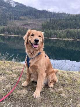 Profile photo of River