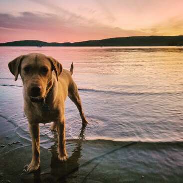 Profile photo of Zeus