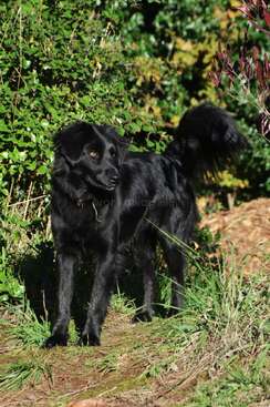 Profile photo of Eva