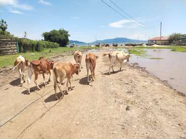 Profile photo of Lando