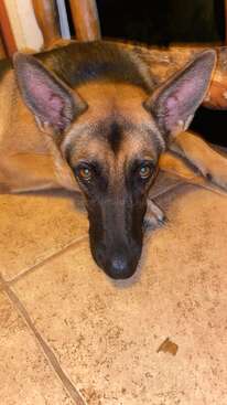 Profile photo of Rainbow 