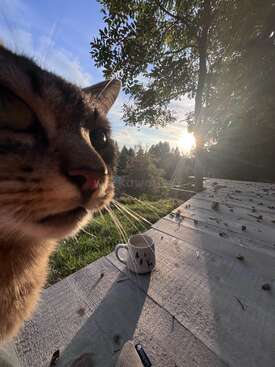 Profile photo of "Kat"