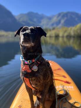 Profile photo of Diego