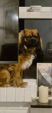 Profile photo of Huxi