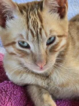 Profile photo of Paco