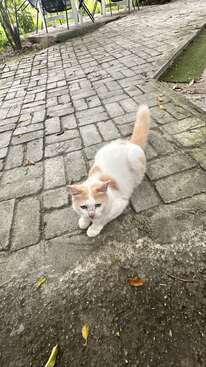 Profile photo of Princess