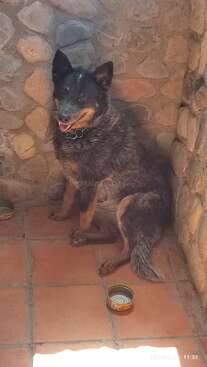 Profile photo of Pili