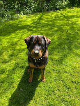 Profile photo of Mattie