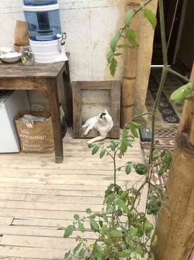 Profile photo of Muiscat