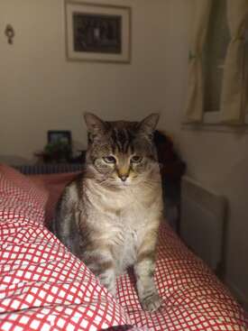 Profile photo of Fifi