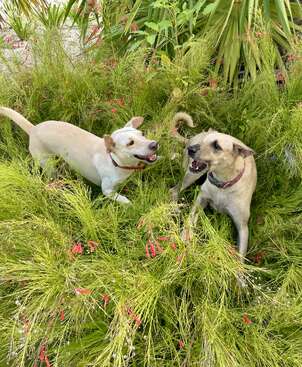 Profile photo of Luna