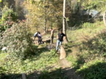 Profile photo of Phoebe