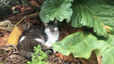 Profile photo of Love