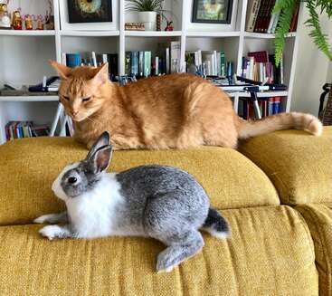 Profile photo of Rouxy