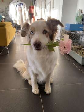 Profile photo of Ioga