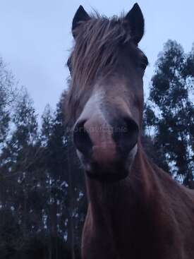 Profile photo of Luna