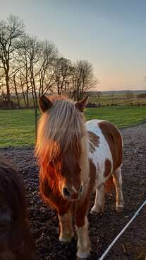 Profile photo of Depill