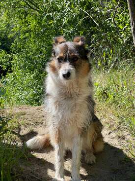 Profile photo of Feligreta