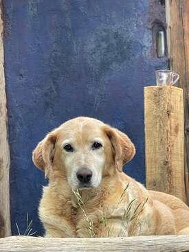 Profile photo of Florencia