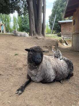 Profile photo of Tita