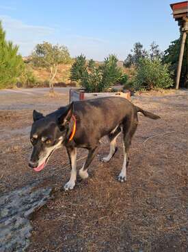 Profile photo of Taba