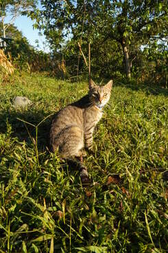 Profile photo of Wailer