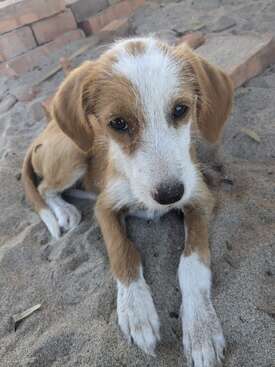 Profile photo of Carmen