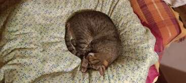 Profile photo of Robin 