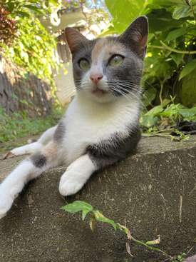 Profile photo of Mara