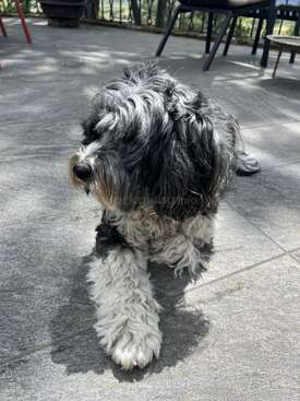 Profile photo of Killa