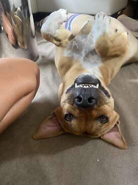 Profile photo of Sony