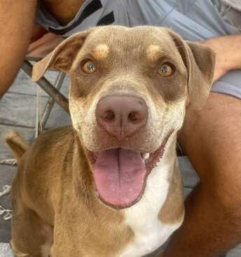 Profile photo of Vela