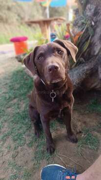 Profile photo of Due