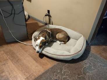 Profile photo of Charlie