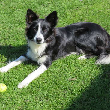 Profile photo of Billy