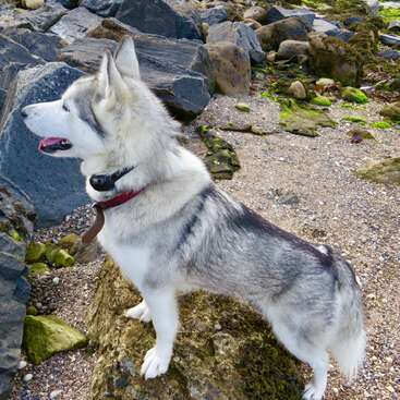 Profile photo of Sky