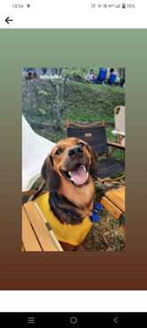 Profile photo of Dantart
